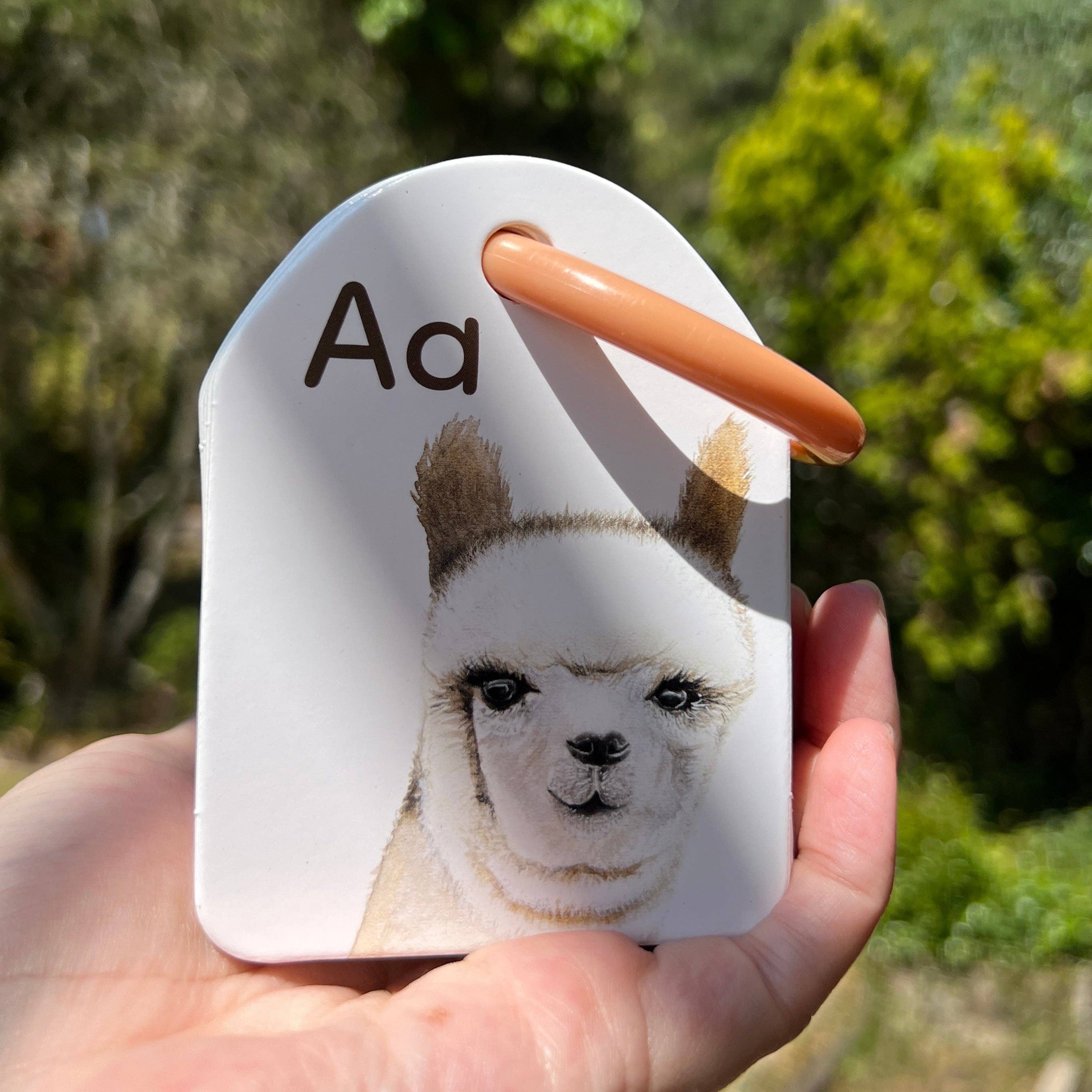 Animal Ringed Alphabet Flash Cards