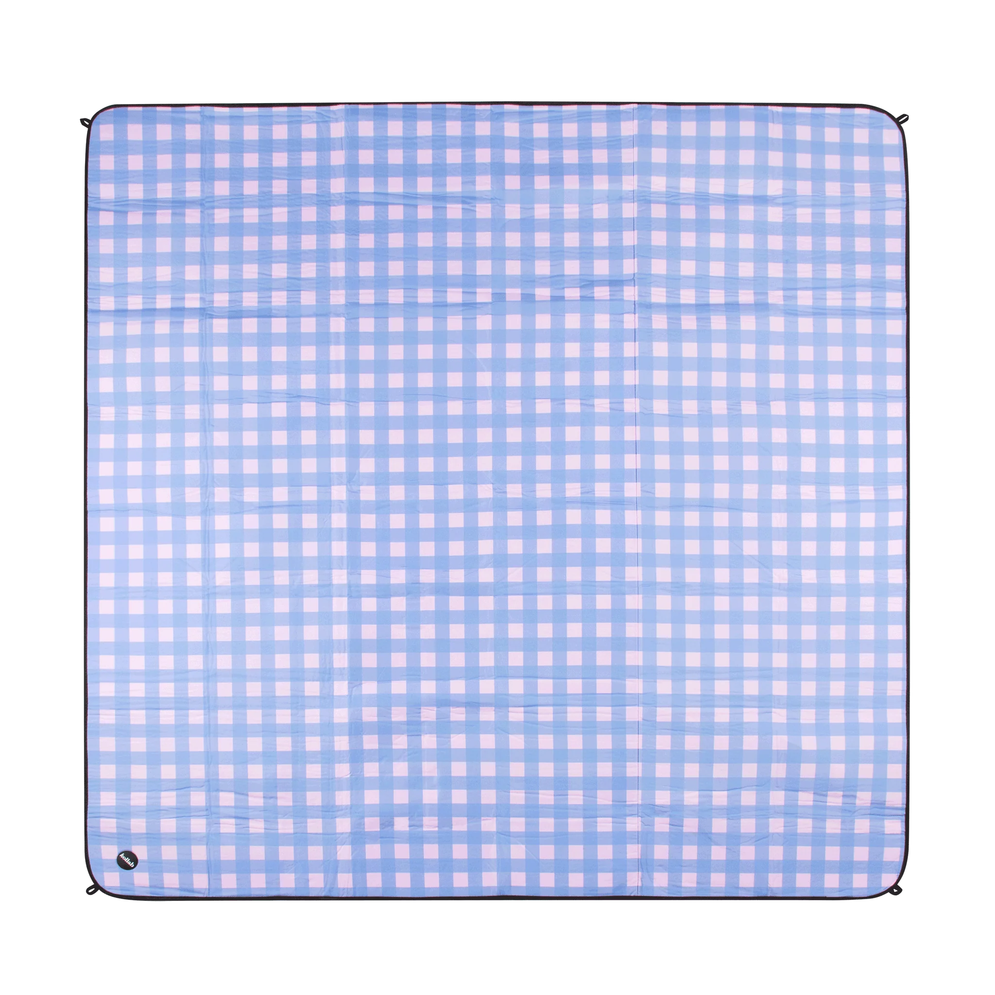 Picnic Mat Skyberry Gingham