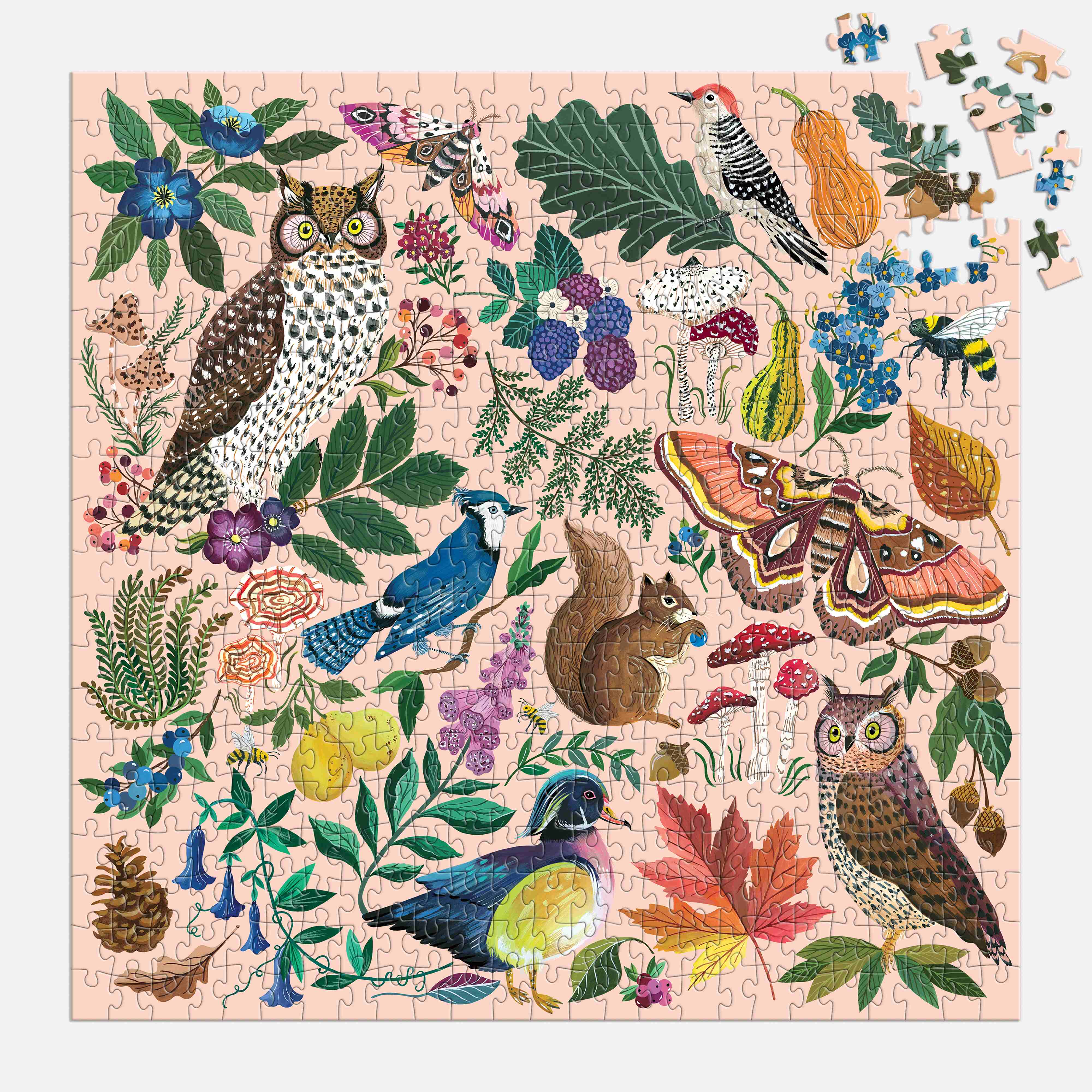 Nature in Autumn 500PC Puzzle