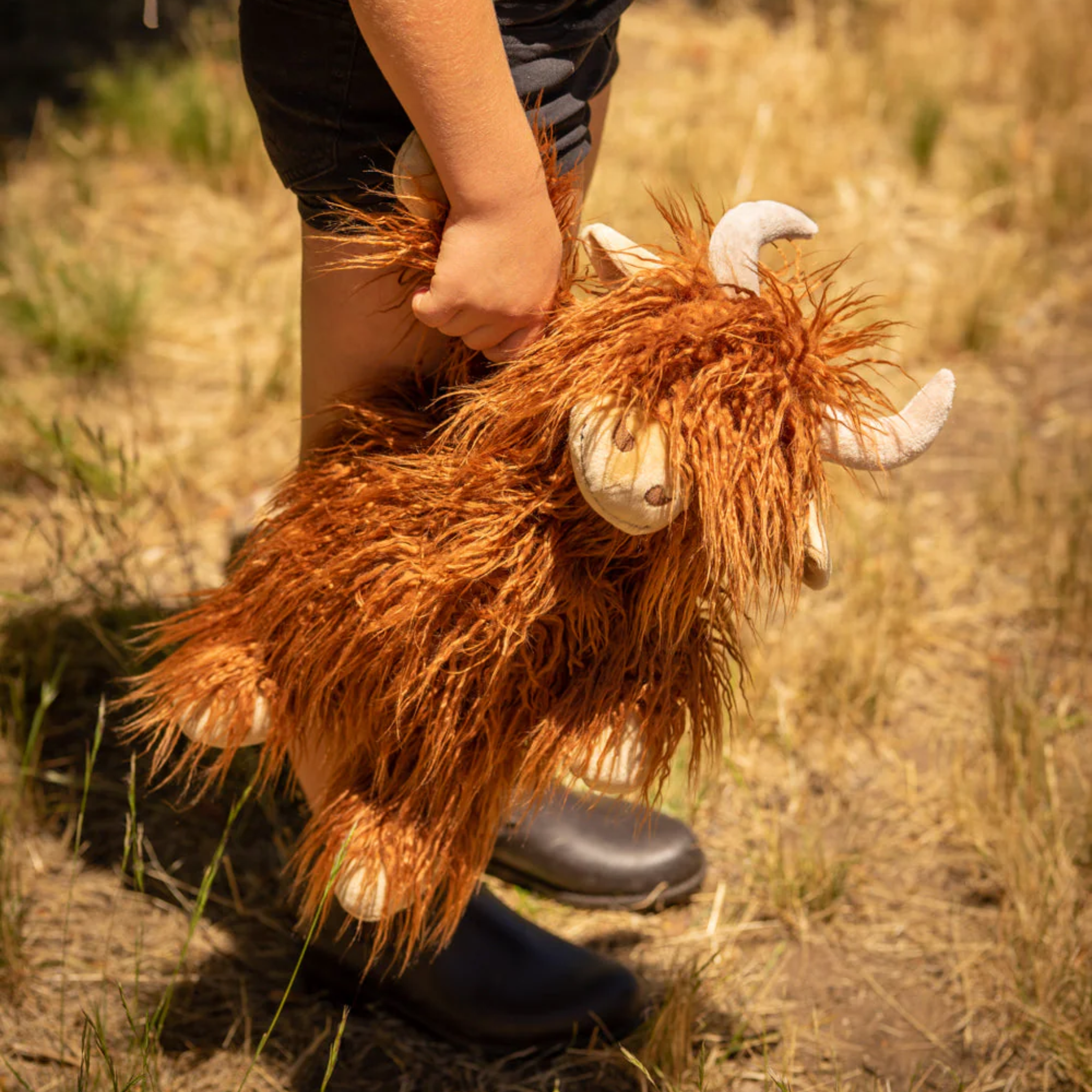 Henry The Highland Cow Rust