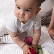 2 Pack Mini Market Brunch Stroller Toy Pineapple & Cherries