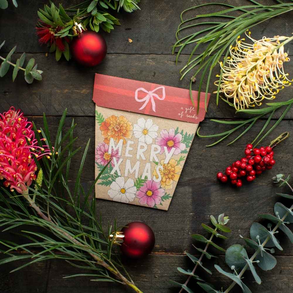 Christmas Blooms Gift of Seeds