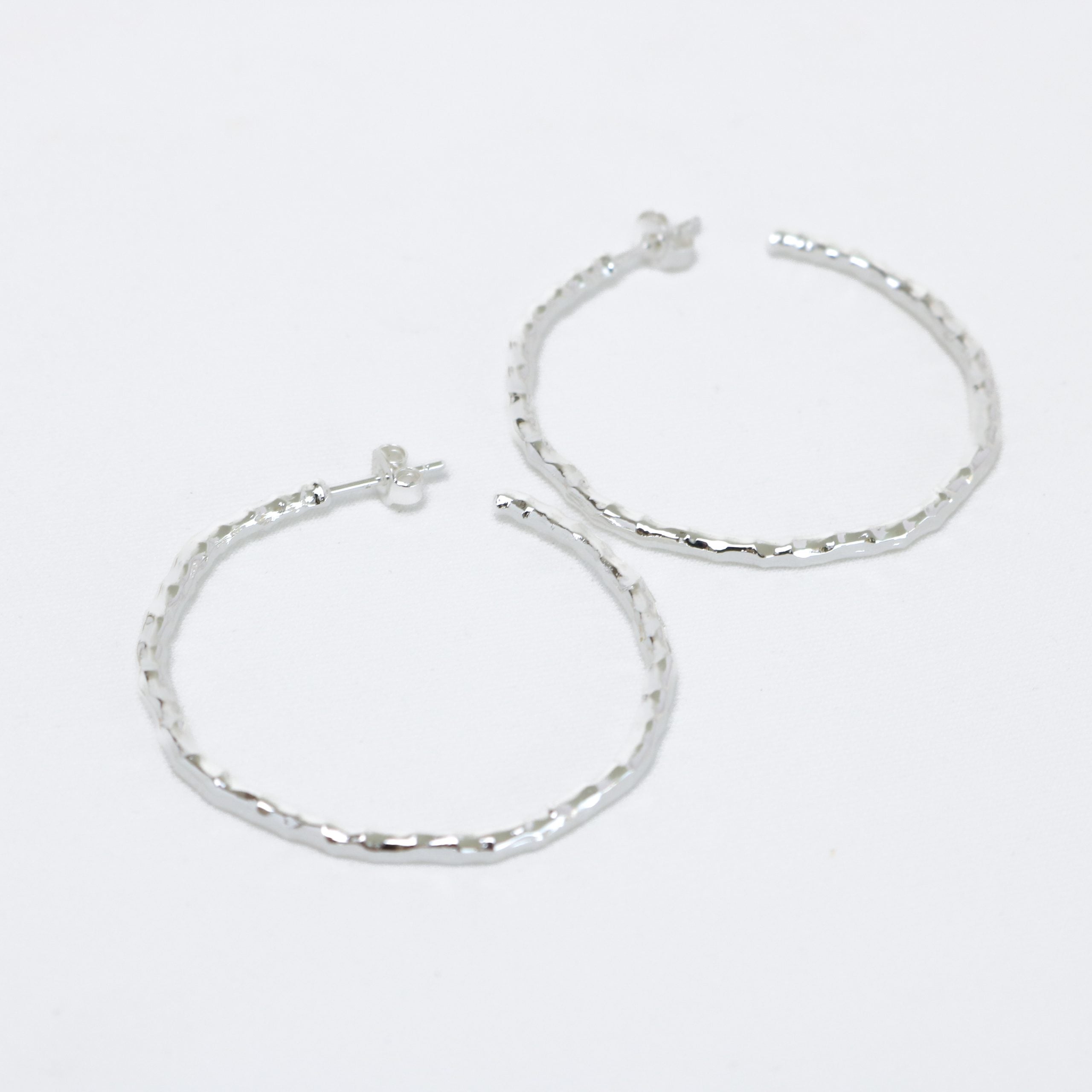 Aylin Earrings Silver