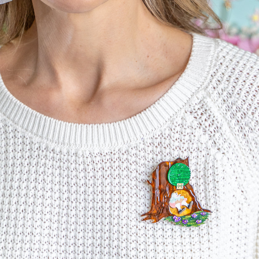 BHED116SlipperySlipBrooch_1.jpg