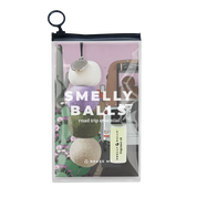 Desert Bloom Smelly Balls and Cactus Face Fragrance