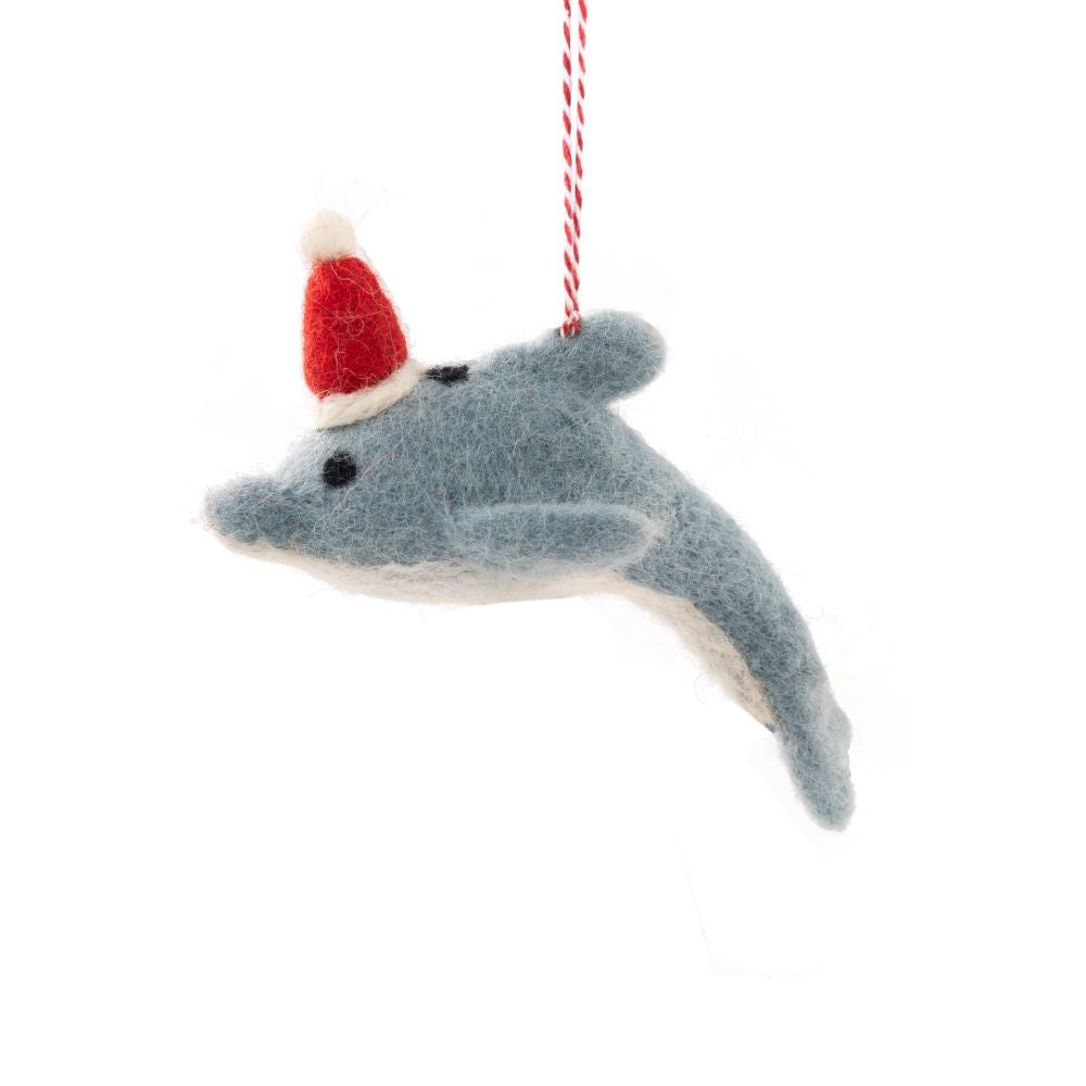 DolphinDani.jpg