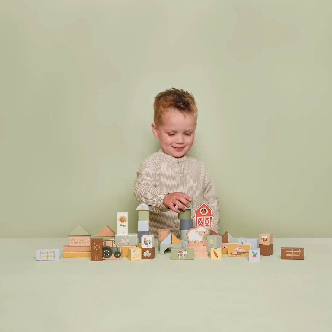 Little Farm Wooden Building Block Set