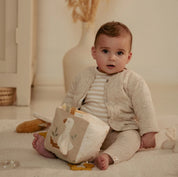 Newborn Naturals Soft Goose Activity Cube