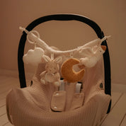Newborn Naturals Stroller & Car Seat Toy