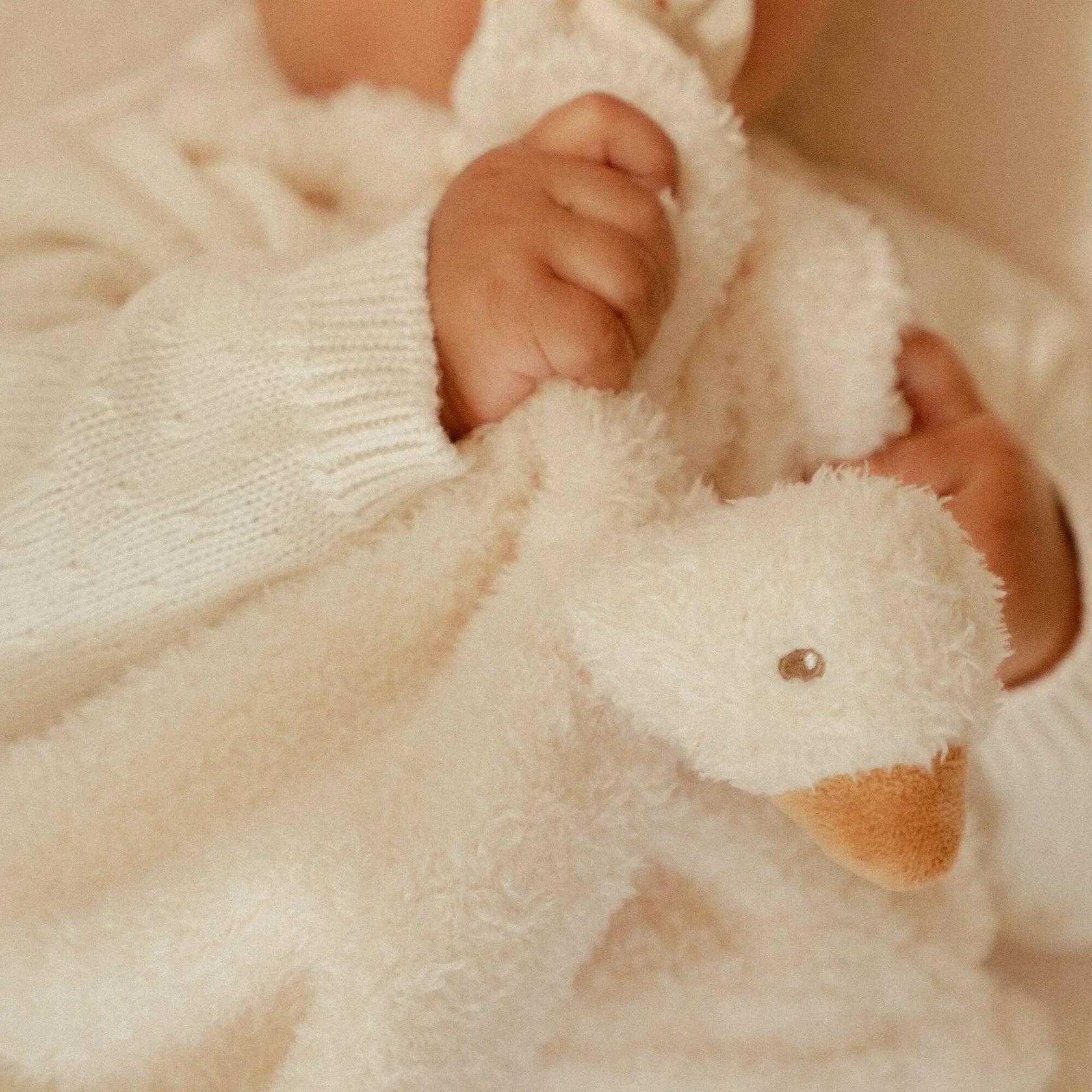 Newborn Naturals Little Goose Baby Cuddle Cloth