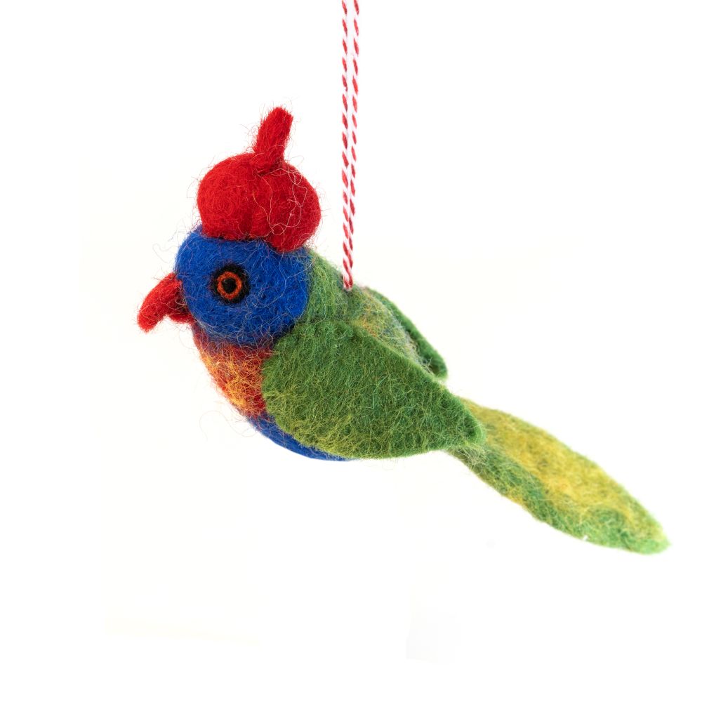 LorikeetLauren.jpg