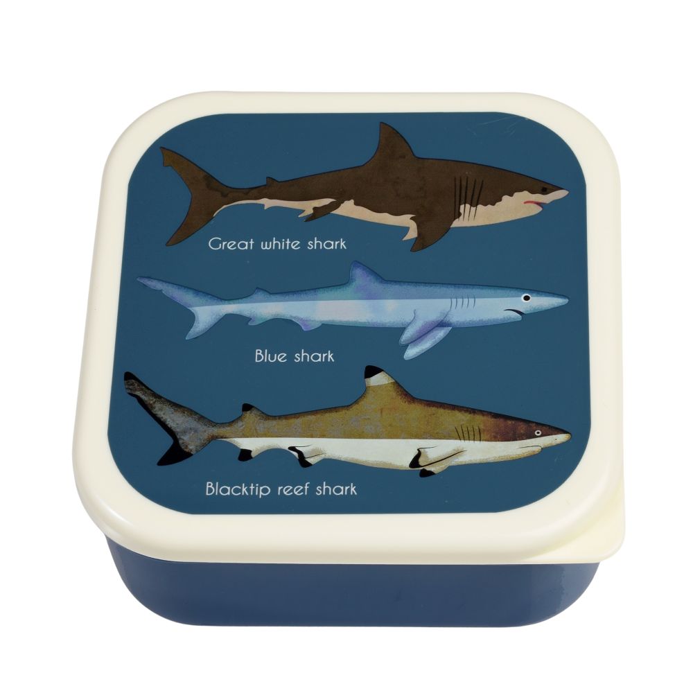 Snack Box Set Sharks