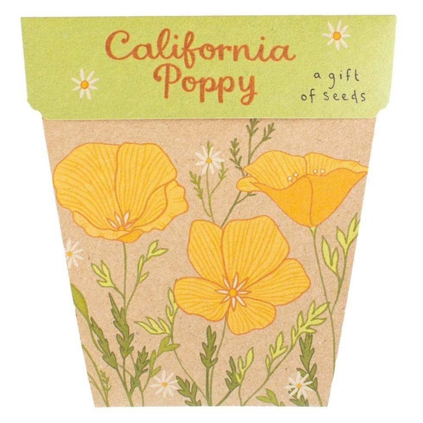 California Poppy Gift of Seeds