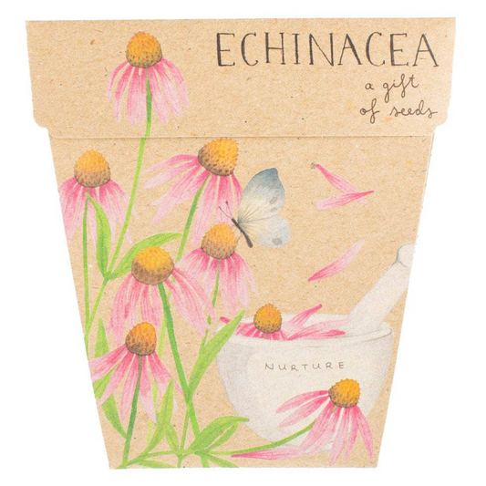 Echinacea Gift of Seed