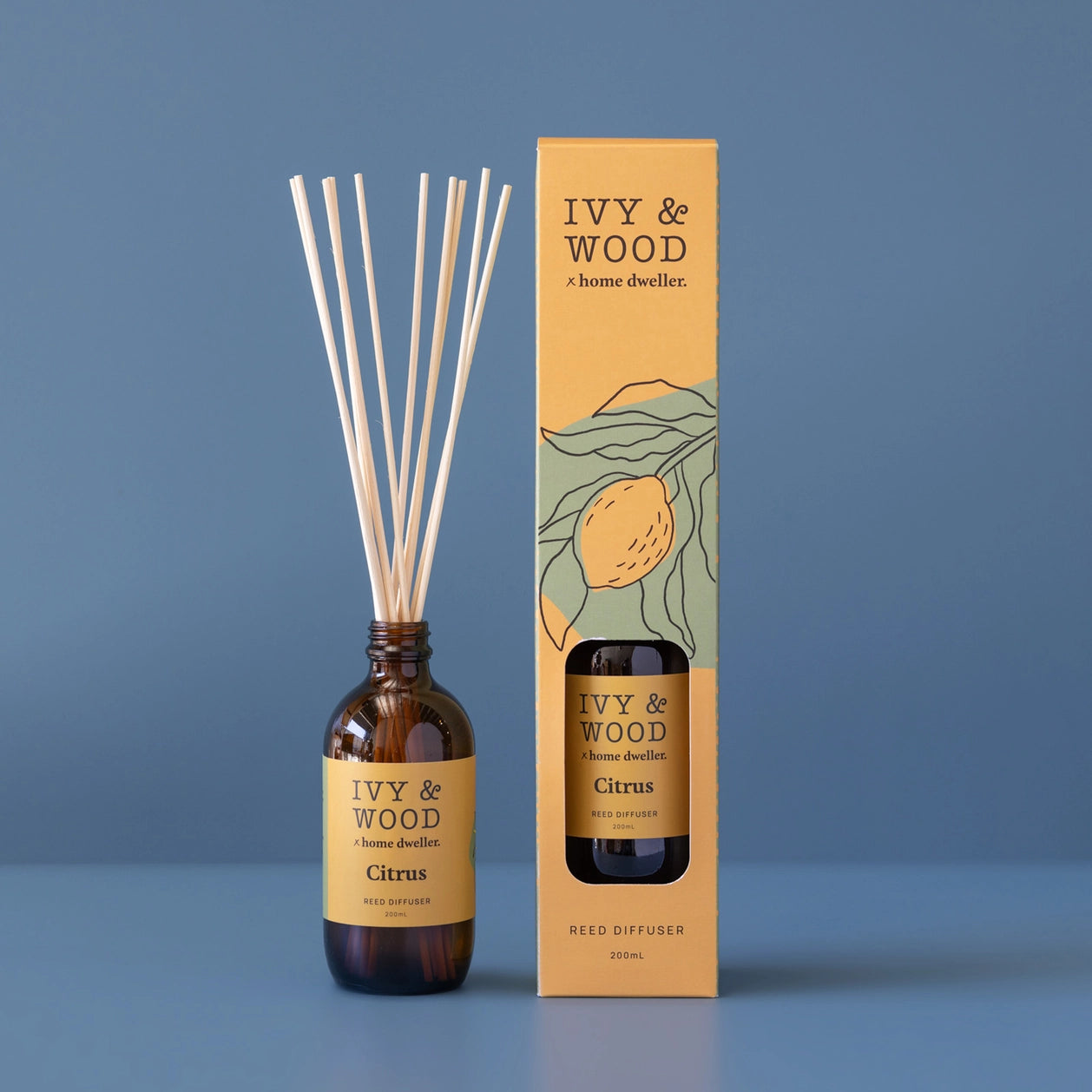 Homebody Citron Reed Diffuser