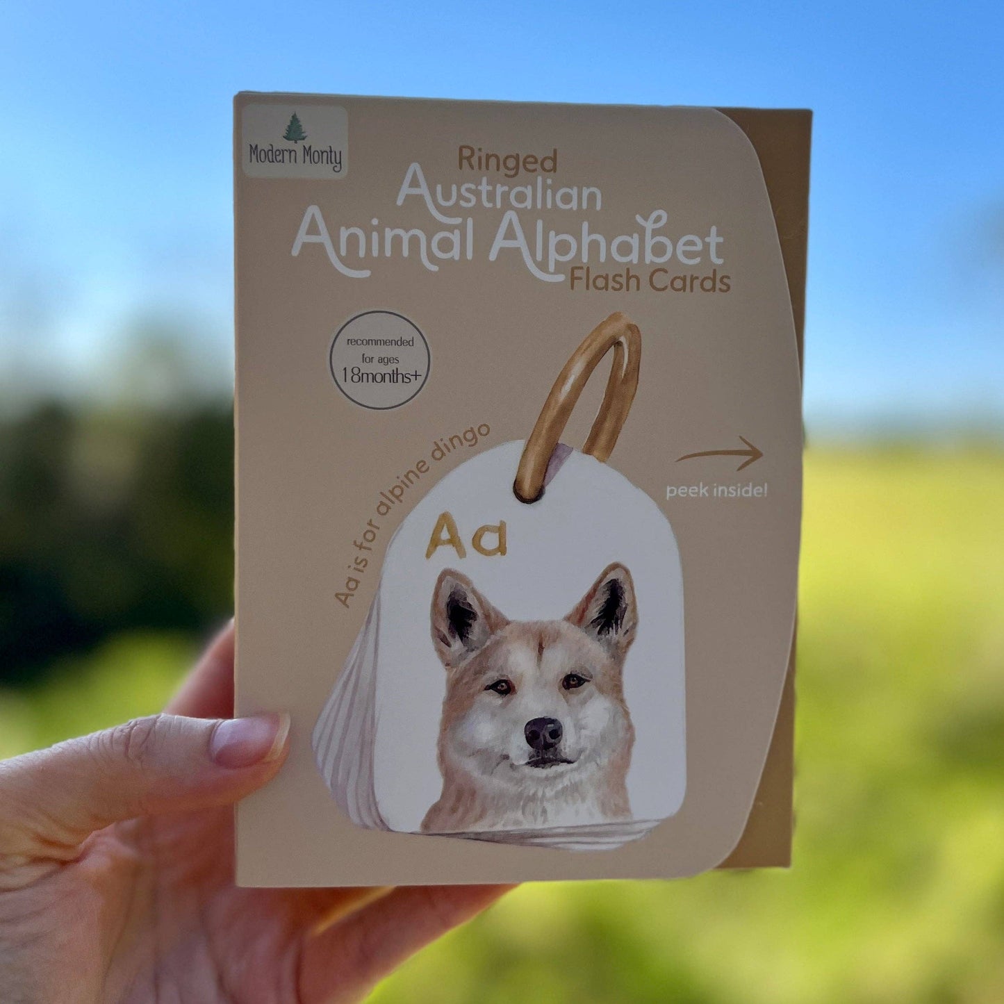 Australian Ringed Animal Alphabet Flash Cards