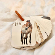 Animal Ringed Alphabet Flash Cards