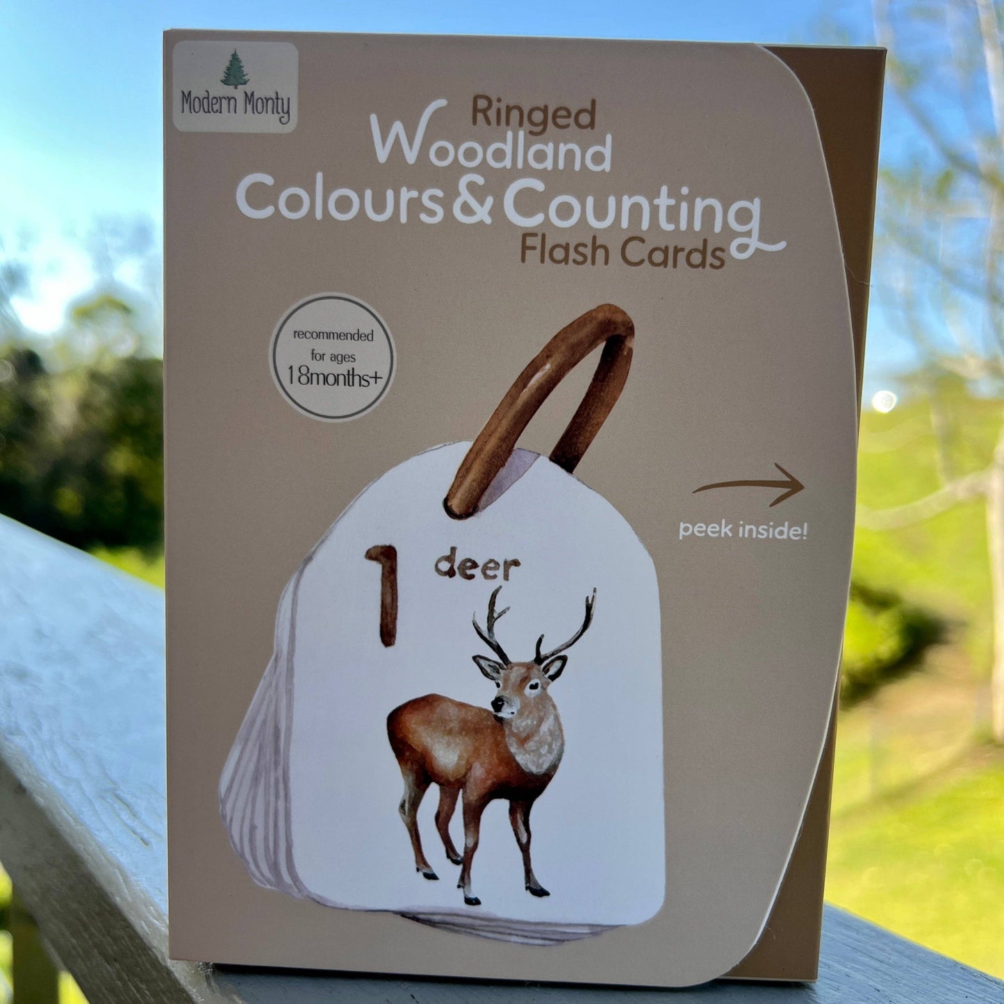 Woodland Ringed Colours and Counting Flash Cards