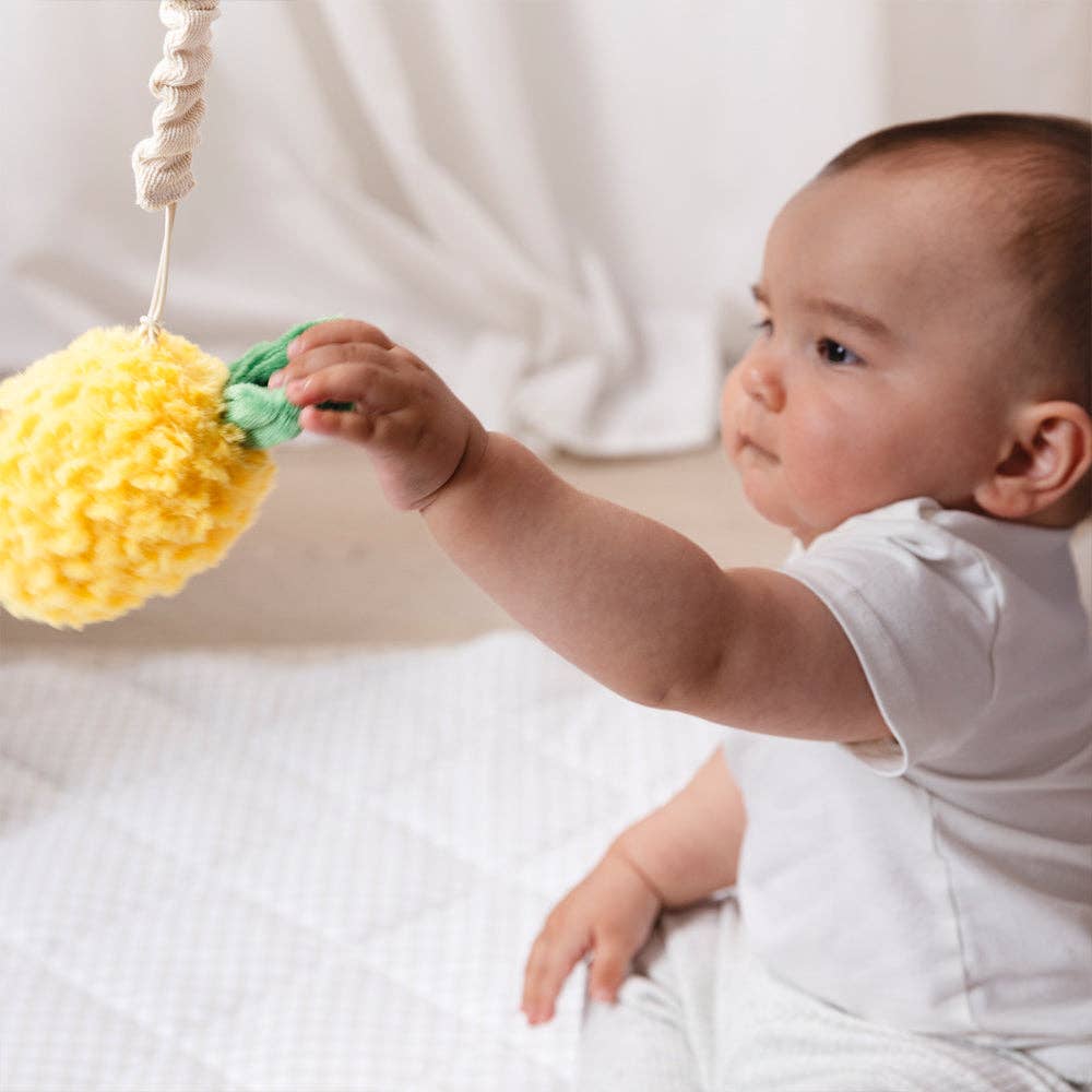 2 Pack Mini Market Brunch Stroller Toy Pineapple & Cherries