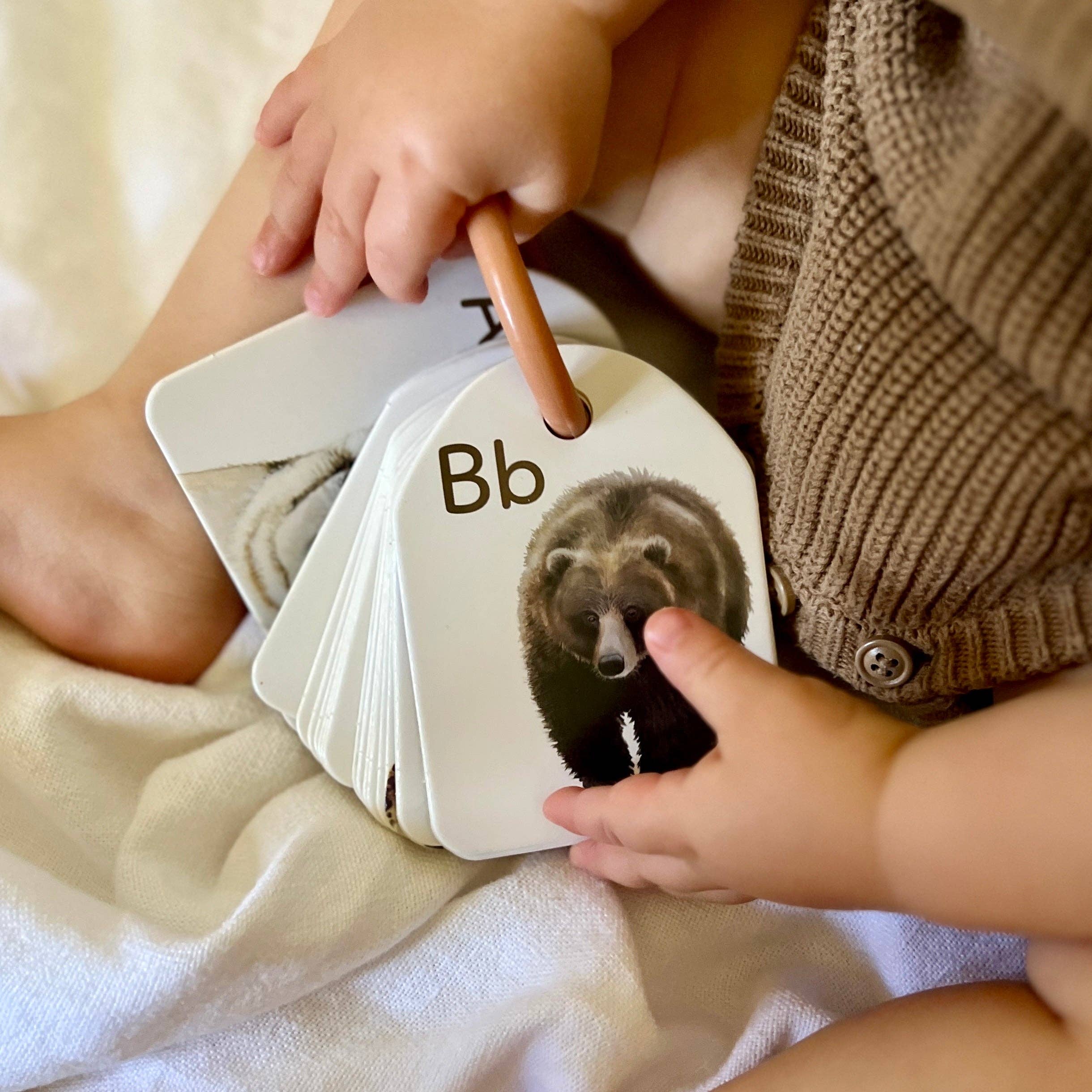 Animal Ringed Alphabet Flash Cards