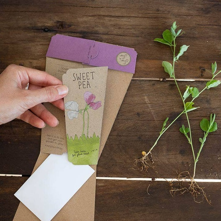 Sweet Pea Gift of Seeds