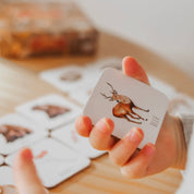 Woodland Memory Card Game