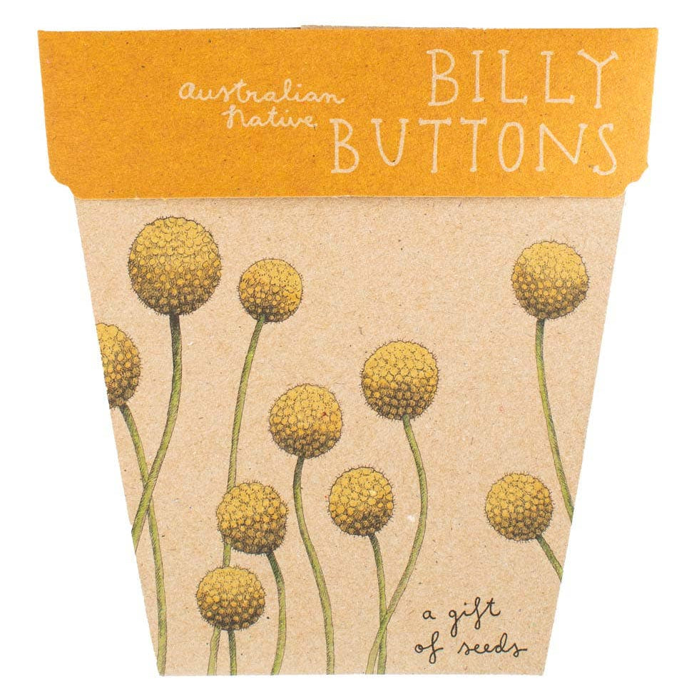 Billy Buttons Gift of Seeds