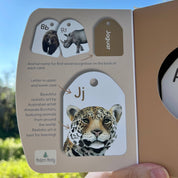 Animal Ringed Alphabet Flash Cards