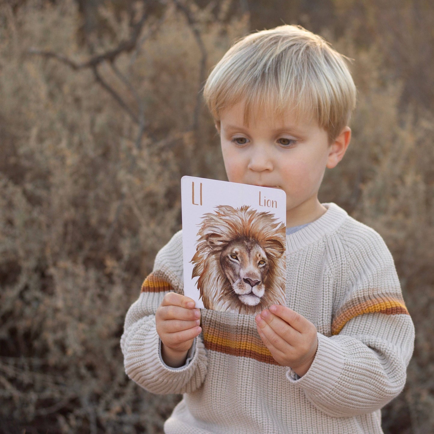 Animal Alphabet Flash Cards