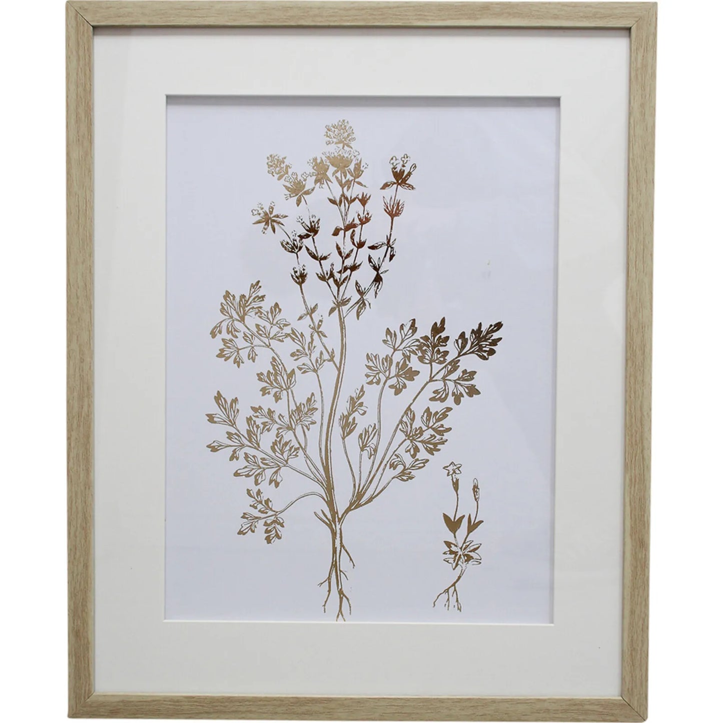 Foliage Framed Print