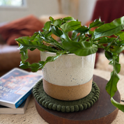 Felt Trivet Set Forest