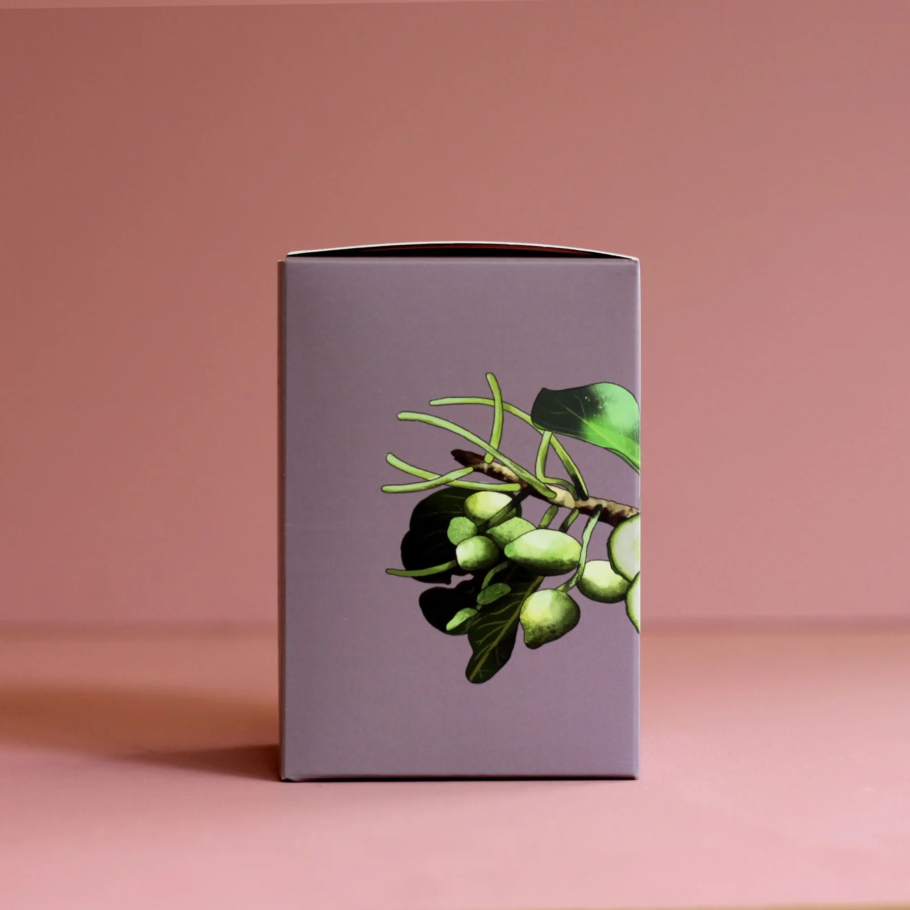 Kakadu Plum & Cucumber Scented Candle