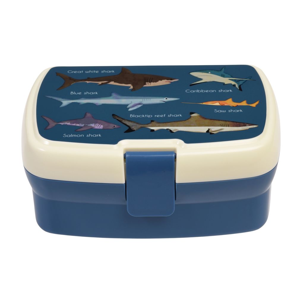 Lunch Box Sharks