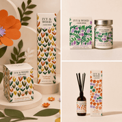 Bloom x Claire Ritchie: Orange & Cardamom Reed Diffuser