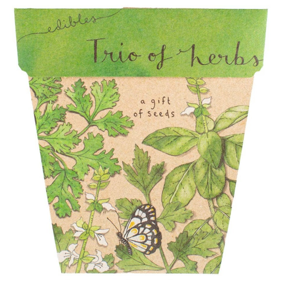 Trio of Herbs Gift of Seeds