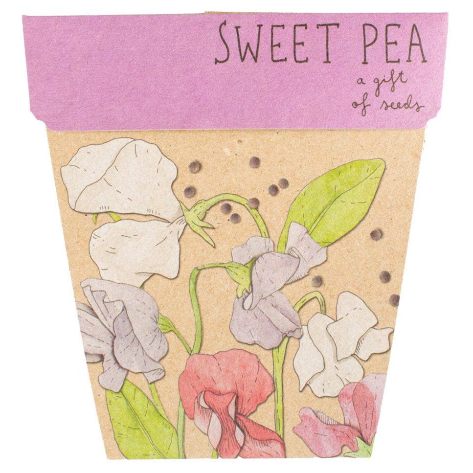 Sweet Pea Gift of Seeds