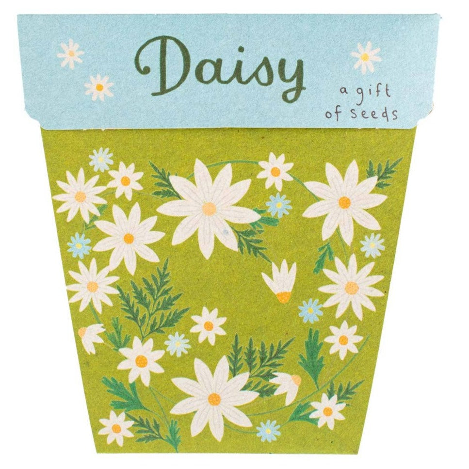 Daisy Gift of Seeds