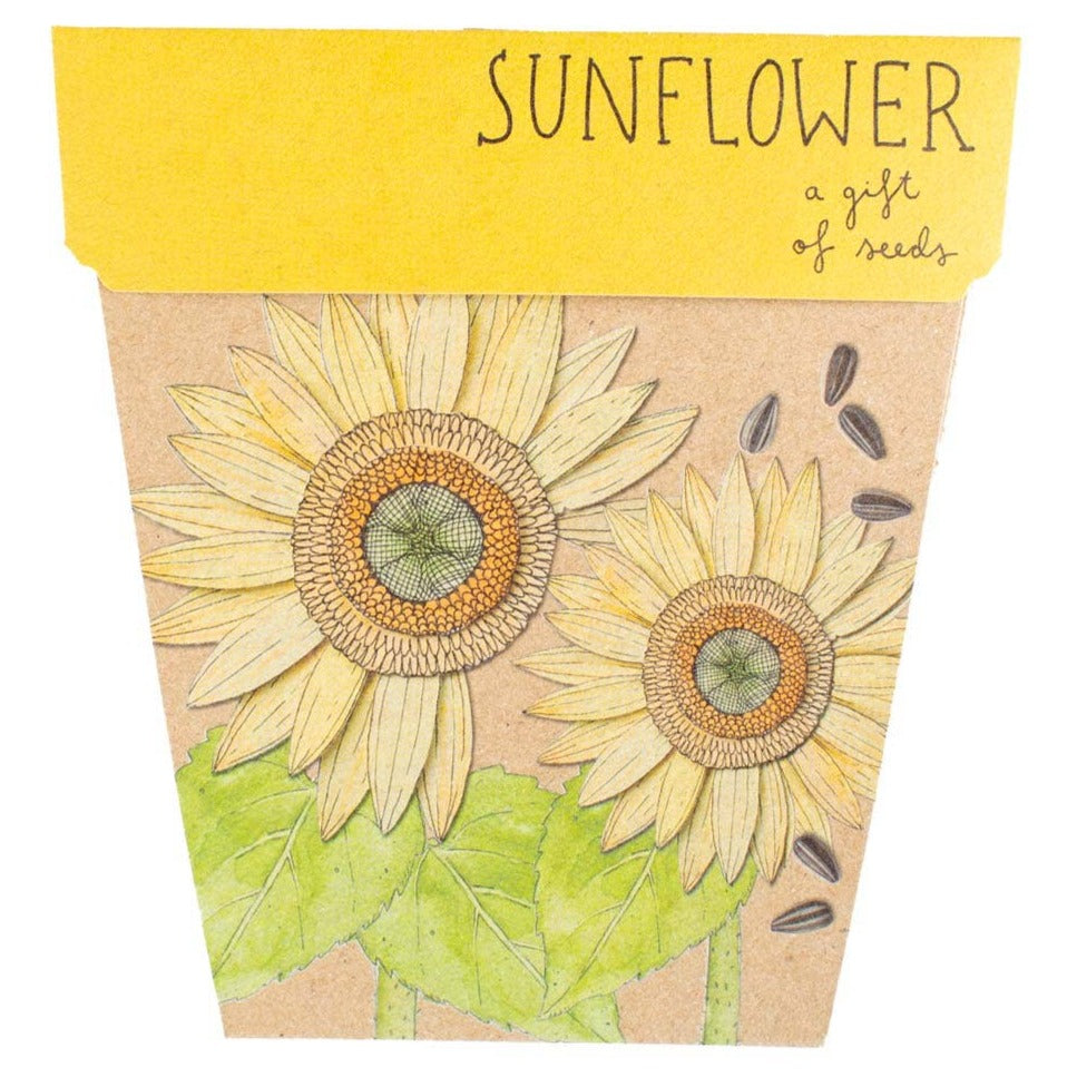 Sunflower Gift of Seeds