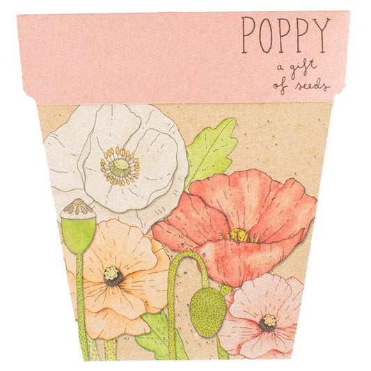 Poppy Gift of Seeds